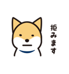 柴犬たちの日常（個別スタンプ：31）