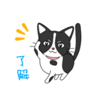2匹のほっこり猫ちゃん（個別スタンプ：3）
