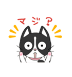 2匹のほっこり猫ちゃん（個別スタンプ：12）