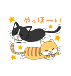 2匹のほっこり猫ちゃん（個別スタンプ：16）