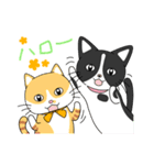 2匹のほっこり猫ちゃん（個別スタンプ：19）