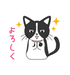 2匹のほっこり猫ちゃん（個別スタンプ：28）