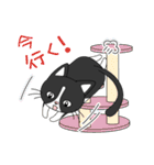 2匹のほっこり猫ちゃん（個別スタンプ：31）