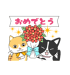 2匹のほっこり猫ちゃん（個別スタンプ：33）