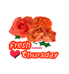 FLOWER TODAY4（個別スタンプ：5）