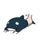 Steph's Life (Orca Doll)（個別スタンプ：37）