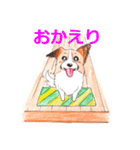 パピオンスタンプ（個別スタンプ：9）