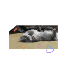 うちのキーちゃん（個別スタンプ：39）