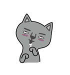 NOT respectful cat（個別スタンプ：1）