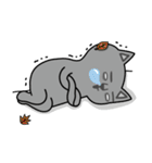 NOT respectful cat（個別スタンプ：9）