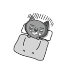NOT respectful cat（個別スタンプ：17）