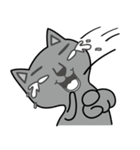 NOT respectful cat（個別スタンプ：20）