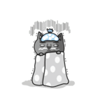 NOT respectful cat（個別スタンプ：37）
