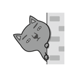 NOT respectful cat（個別スタンプ：38）