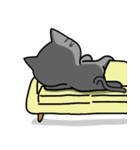 NOT respectful cat（個別スタンプ：40）