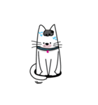 Almond the cat (animated)（個別スタンプ：8）