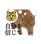 ワンニャンオールスターズ日常編（個別スタンプ：39）