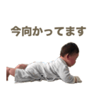 たいち君（個別スタンプ：2）