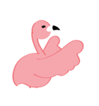 Pinky Flamingo（個別スタンプ：5）