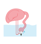 Pinky Flamingo（個別スタンプ：35）
