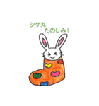 くつしたうさぎシゲ丸（個別スタンプ：17）