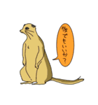 デグーと仲間たち（個別スタンプ：13）