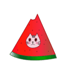 catty cat Ver1（個別スタンプ：12）