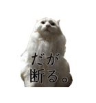 我が家の猫たち。（個別スタンプ：3）