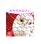 私がサンミアよ（個別スタンプ：4）