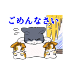 つんでれ猫 はる吉 2（個別スタンプ：17）