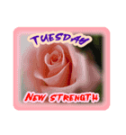 flower today5（個別スタンプ：3）