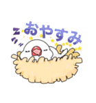 文鳥と猫スタンプ（個別スタンプ：3）