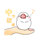 文鳥と猫スタンプ（個別スタンプ：4）
