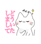 文鳥と猫スタンプ（個別スタンプ：6）