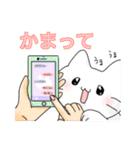 文鳥と猫スタンプ（個別スタンプ：20）