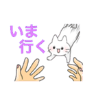 文鳥と猫スタンプ（個別スタンプ：30）