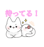 文鳥と猫スタンプ（個別スタンプ：32）