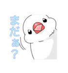 文鳥と猫スタンプ（個別スタンプ：33）