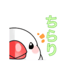 文鳥と猫スタンプ（個別スタンプ：35）