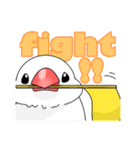 文鳥と猫スタンプ（個別スタンプ：40）