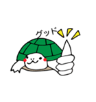 カメの毎日（個別スタンプ：3）