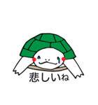 カメの毎日（個別スタンプ：8）