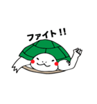 カメの毎日（個別スタンプ：19）