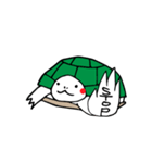 カメの毎日（個別スタンプ：20）
