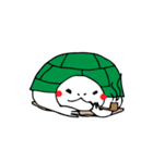 カメの毎日（個別スタンプ：28）