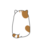 Thumb Cat and Friends（個別スタンプ：15）