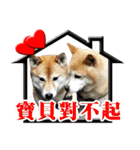 柴犬幸せ家族（個別スタンプ：3）