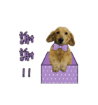 Mr. Tofu's line animated stickers (NO.1)（個別スタンプ：2）