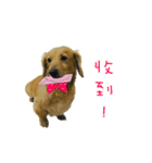 Mr. Tofu's line animated stickers (NO.1)（個別スタンプ：3）