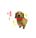 Mr. Tofu's line animated stickers (NO.1)（個別スタンプ：17）